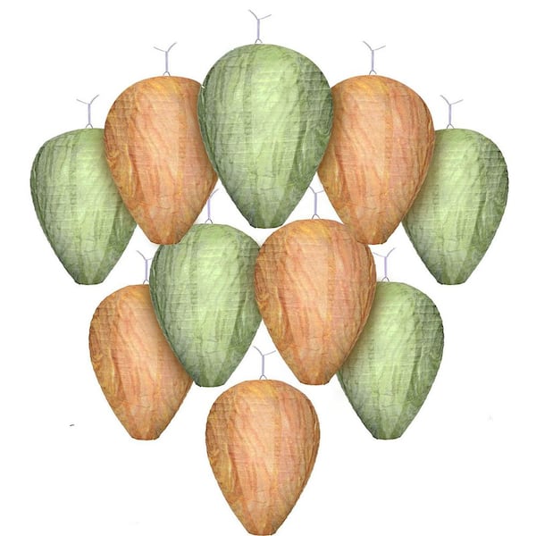 Outdoor Wasp Hornet Trap with Non-Toxic Deterrent Decoy Hanging Repellent Garden Yard 10 Pack