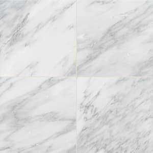 Greecian White 18 in. x 18 in. Polished Marble Floor and Wall Tile (11.25 sq. ft./Case)