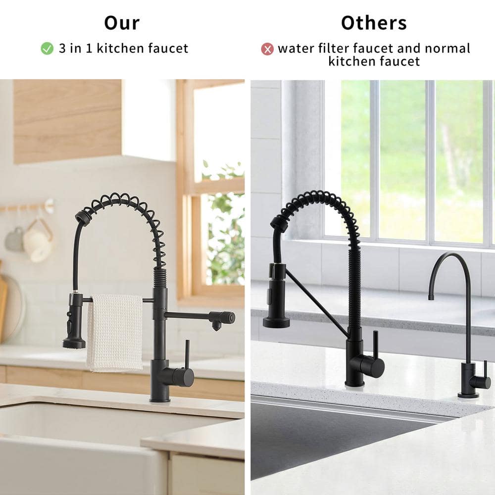 Matte Black 3-in-1 Pull-Down Kitchen Faucet with Sprayer