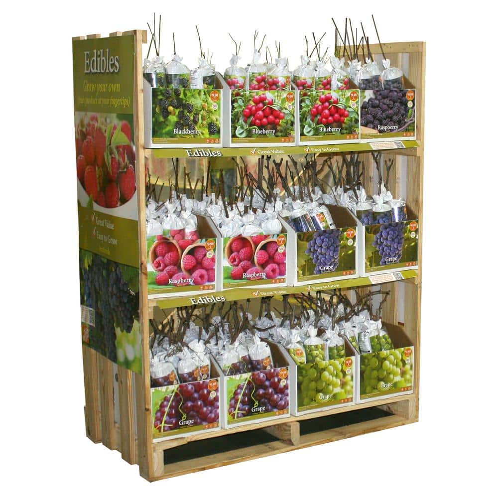VAN ZYVERDEN SWC Berry Grape Bulb Rack 06150 - The Home Depot