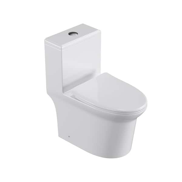 RAINLEX 12 in. 1-Piece 1.0/1.6 GPF Dual Flush Elongated Toilet in White Seat Included
