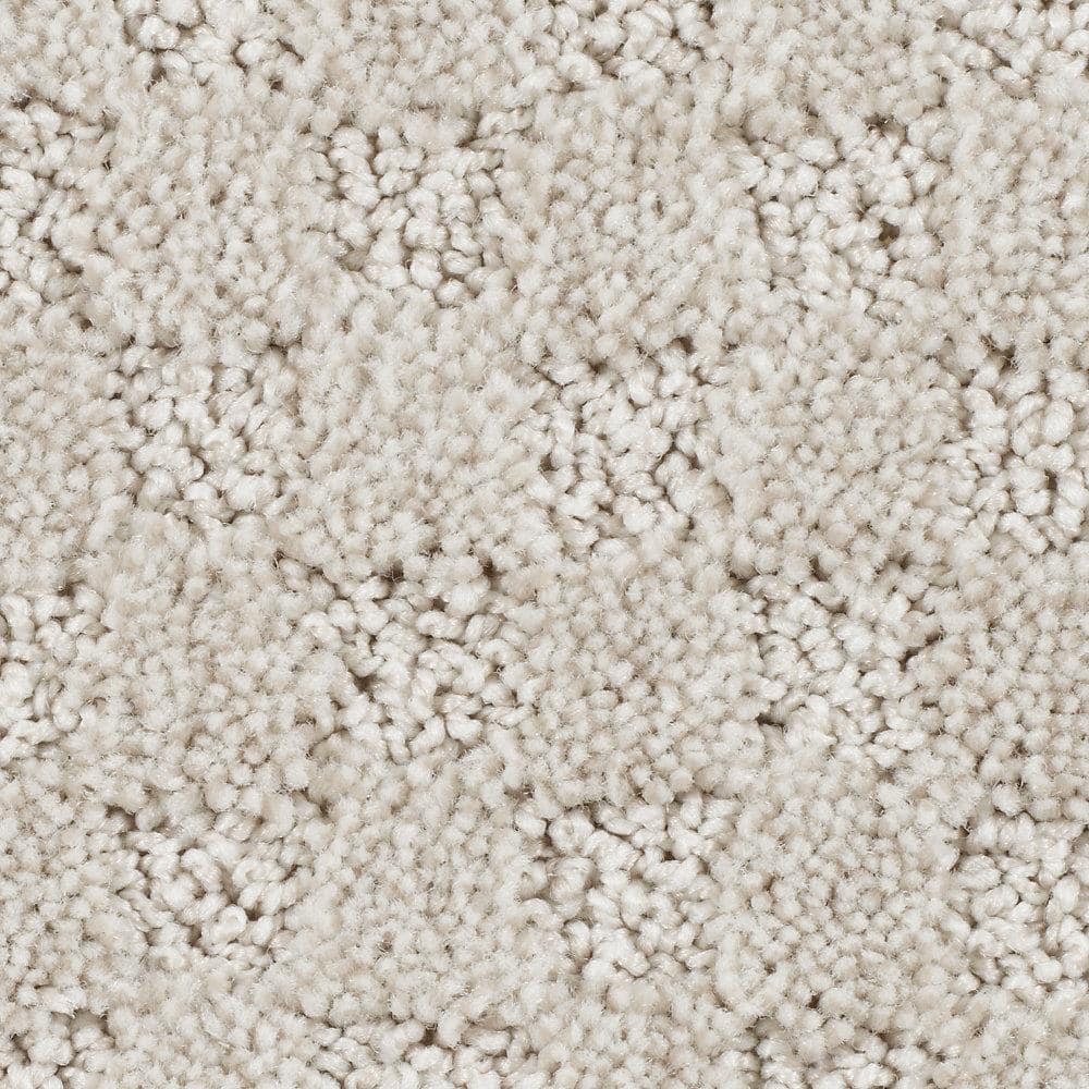 8 in. x 8 in. Pattern Carpet Sample - Shiloh Point -Color Dovetail price history on PriceWatchPro