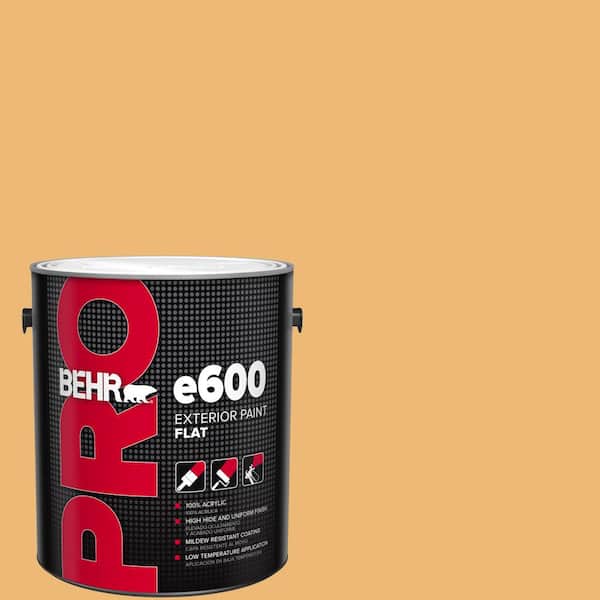 BEHR PRO 1 gal. #BIC-29 Kernel Flat Exterior Paint
