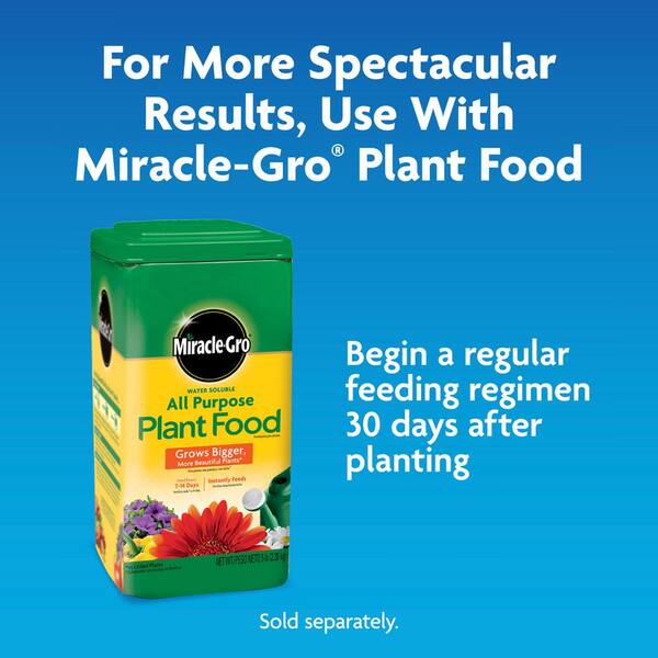 Miracle-Gro 2 cu.ft. Moisture Control Potting Soil Mix 75552304 - The Home  Depot