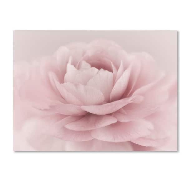 Trademark Fine Art 14 in. x 19 in. "Stylisch Rose Pink" by Cora Niele Printed Canvas Wall Art