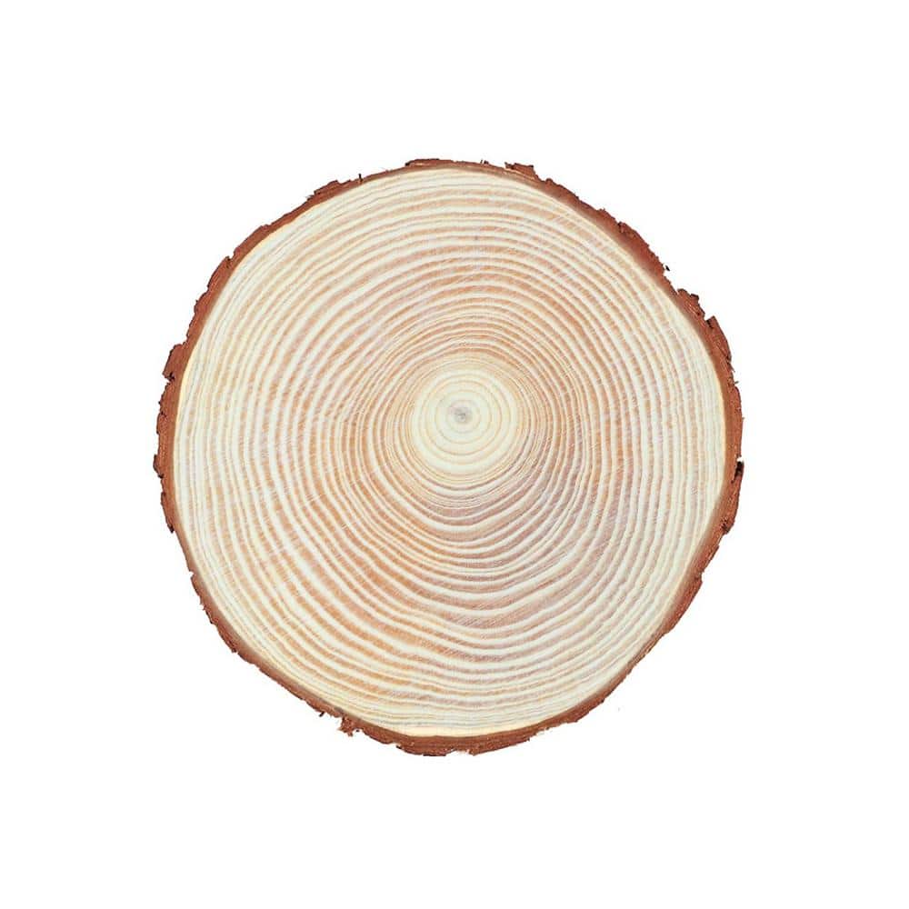 Natural Pine Wood Slices with Bark for Crafts and Decor