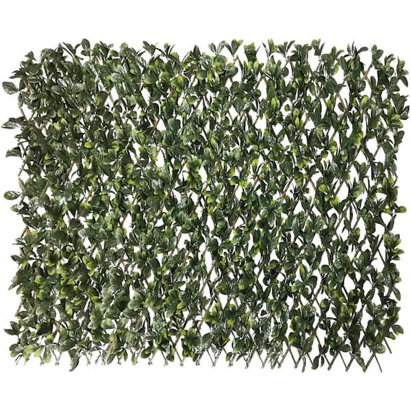 BANSA ROSE 48 in. H x 15 in. W Privacy Stretchable Plastic Garden Fence Single Sided Artificial Shrub Ficus Leaves Fence, 1-Pieces