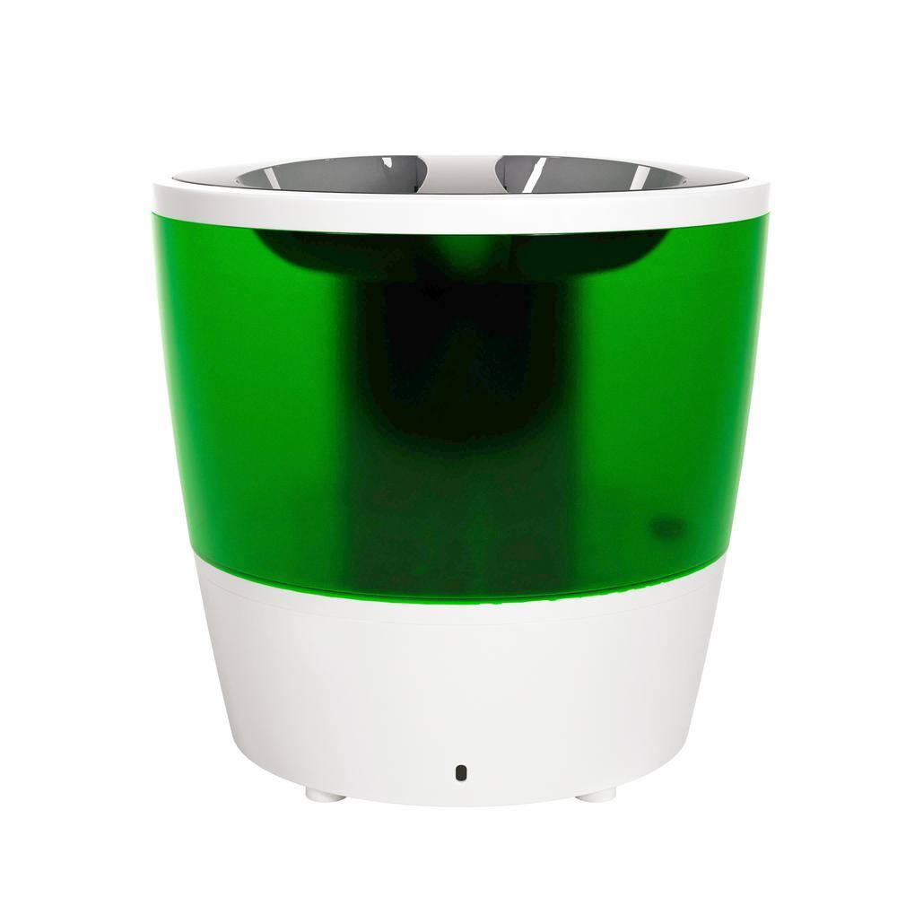 Ozark White and Green Filter-Free Steam Humidifier