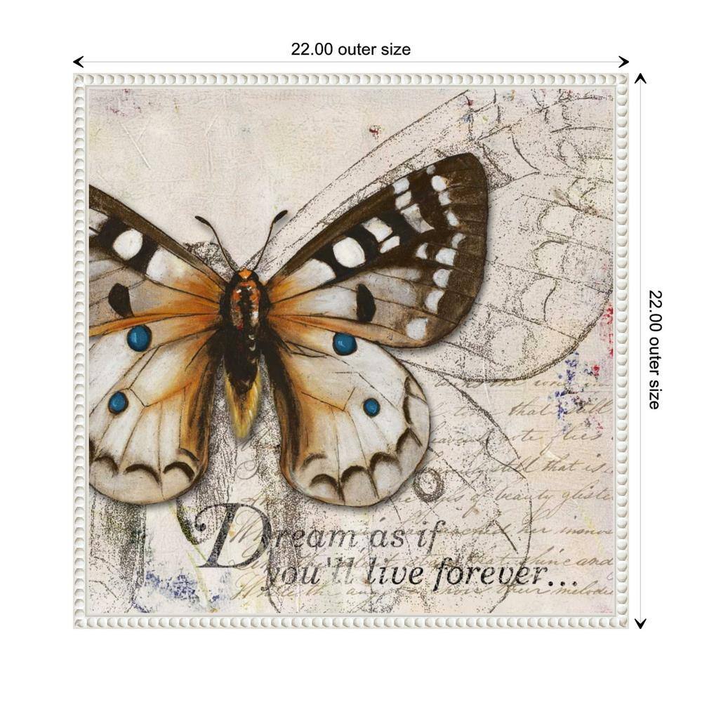 22"x22" Living your Dreams I Butterfly by Patricia Pinto Framed Canvas Wall Art Print White - Amanti Art: Modern Style, Polystyrene Frame