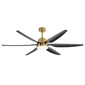 Aurora 66 in. Integrated LED Indoor Black-Blade Gold Ceiling Fan with Light and Remote Control Included