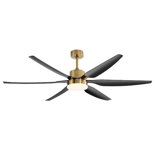 Breezary Aurora 66 in. Integrated LED Indoor Black-Blade Gold Ceiling Fan with Light and Remote Control Included