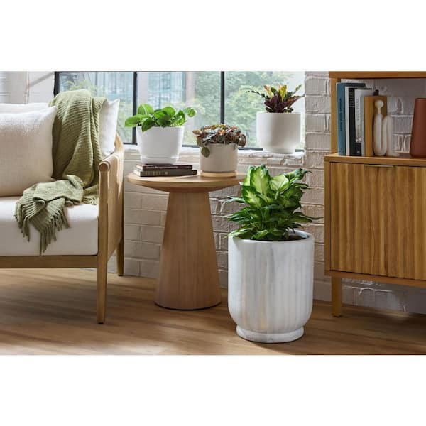 Vigoro Brighton Medium White Plastic Round Planter with Drainage