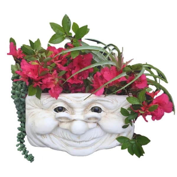 HOMESTYLES Grandma Violet Ant. 10.5 in. White the Muggly Face Statue Tree and Patio Resin Wall Planter