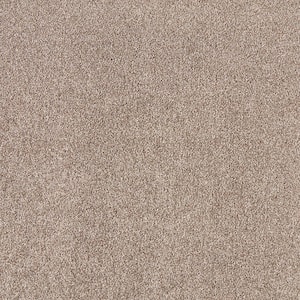Silver Mane II  - Urban Putty - Brown 65 oz. Triexta Texture Installed Carpet
