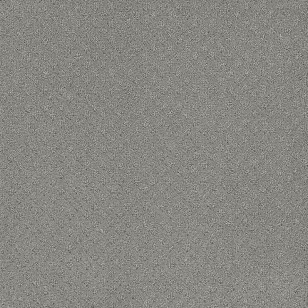 8 in. x 8 in. Pattern Carpet Sample-Bell Loop-Color Resonant price history on PriceWatchPro