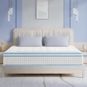 Queen Medium Hybrid Pocketed Coil Memory Foam 12 in. Bed-in-a-Box Mattress