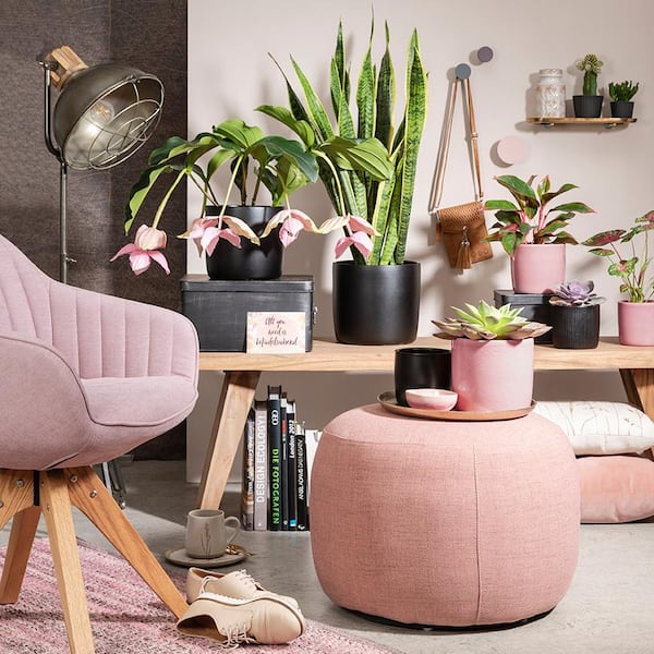 Vigoro Maisy Small Pink Ceramic Planter (7.1 in. L x 7.1 in. W x