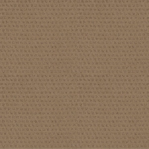 Crown - Antelope - Brown 42.1 oz. Nylon Pattern Installed Carpet