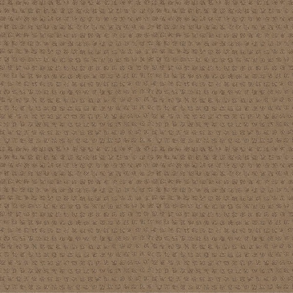 Crown - Antelope - Brown 42.1 oz. Nylon Pattern Installed Carpet