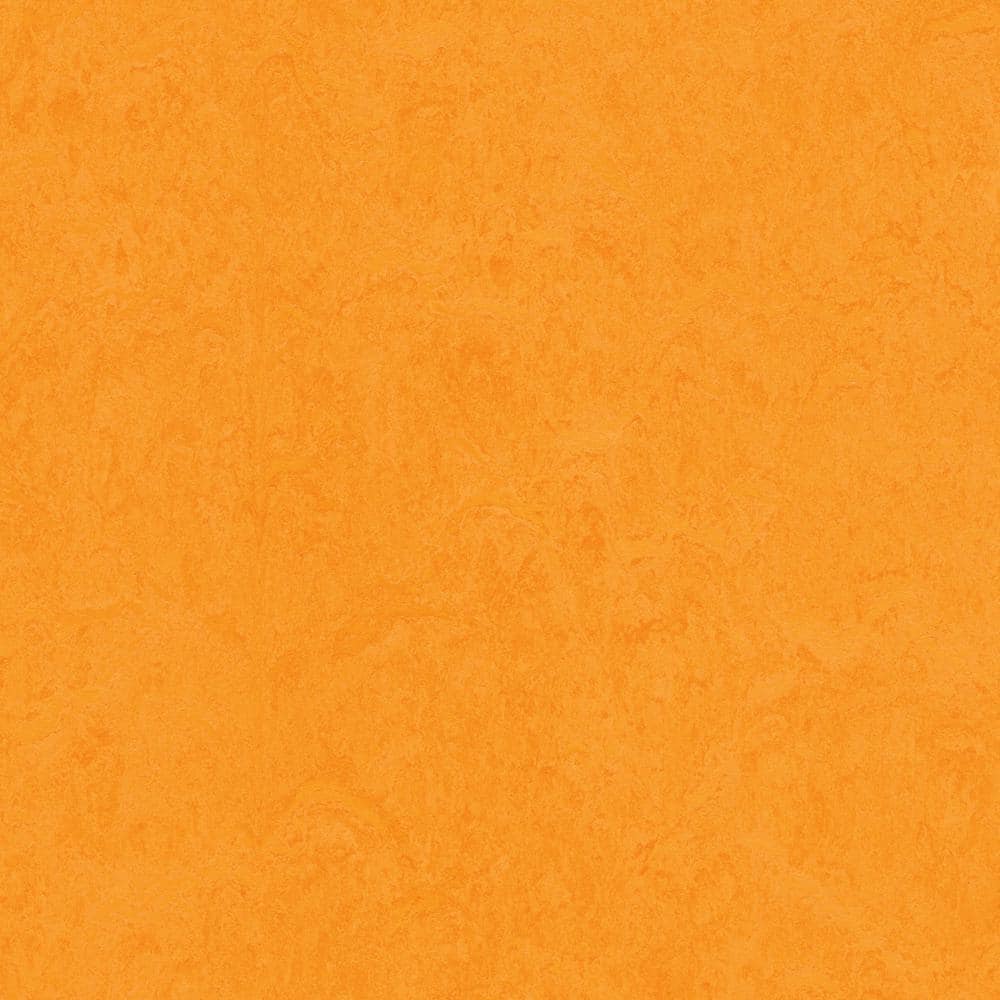 Cinch Loc Seal Marigold 9.8 mm T x 11.81 in. Width x 35.43 in. L Waterproof Laminate Floor Tile (20.34 sq. ft./Case) price history on PriceWatchPro