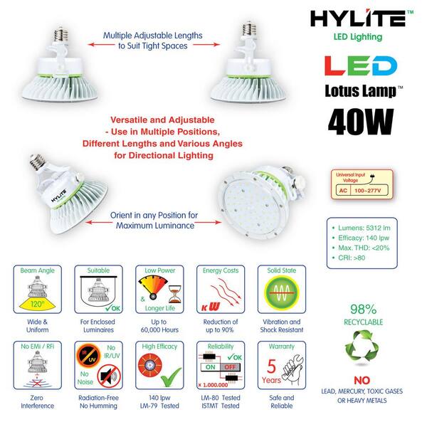 lotus led lights home depot