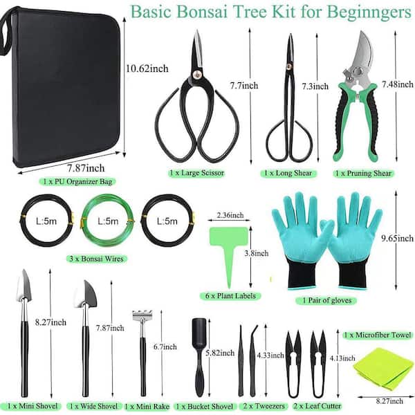 bonsai samen zum keimen bringen Bonsai Starter Kit Anzuchtset inkl. GRATIS eBook main image 0