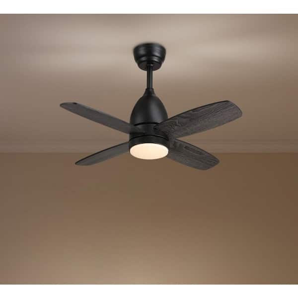 36 in. Dimmable LED Indoor Black Ceiling Fan with Remote Farmhouse Small Bedroom Fan Light with Walnut Color Blades