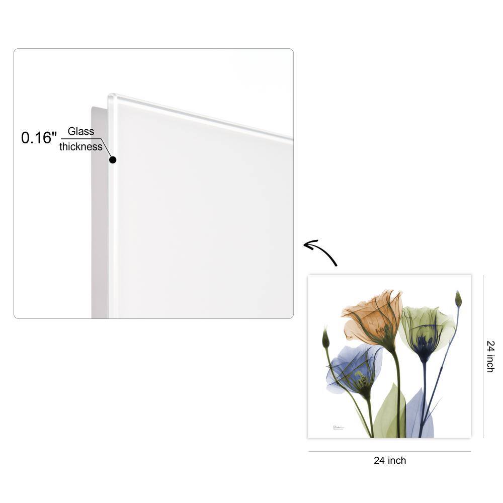 Gentian Buddies Multicolored Tempered Glass Wall Art, 24" x 24"
