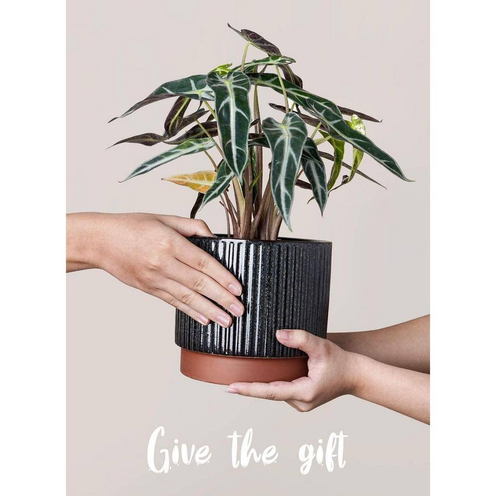 Reactive Glaze Black Ceramic Stripe Round Planter Set with Drainage Holes