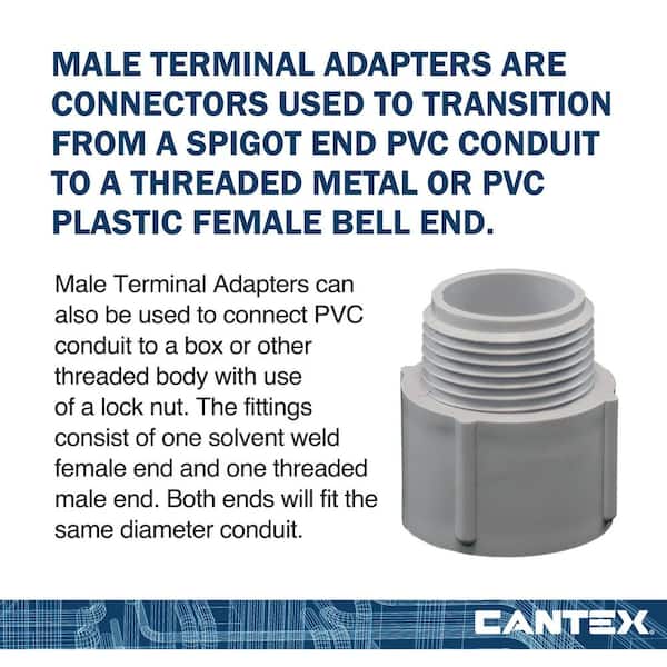 Cantex 1-1/2 in. Male Terminal Adapter R5140107 - The Home Depot