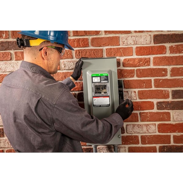 Square D VisiPacT 30 Amp 240-Volt 2-Pole Fused With Neutral