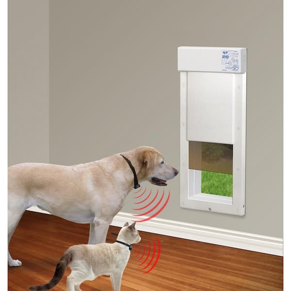 Alexa controlled dog clearance door