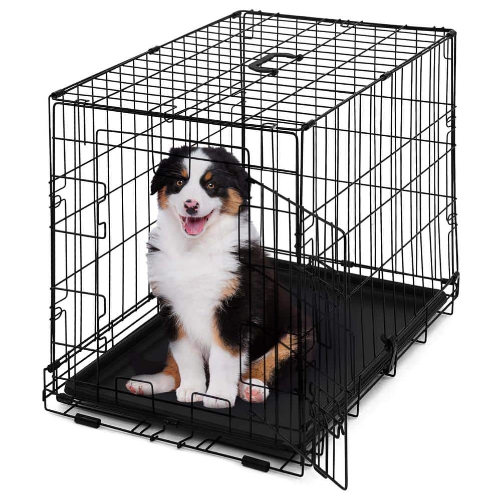 Small Black Foldable Metal Dog Crate with Single Door