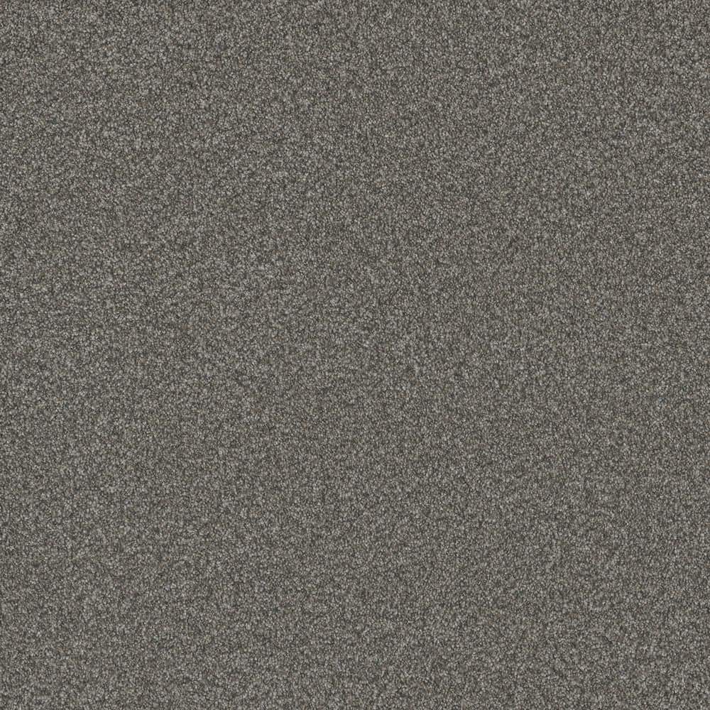 8 in. x 8 in. Texture Carpet Sample - Trendy Threads Plus I -Color Sahara price history on PriceWatchPro