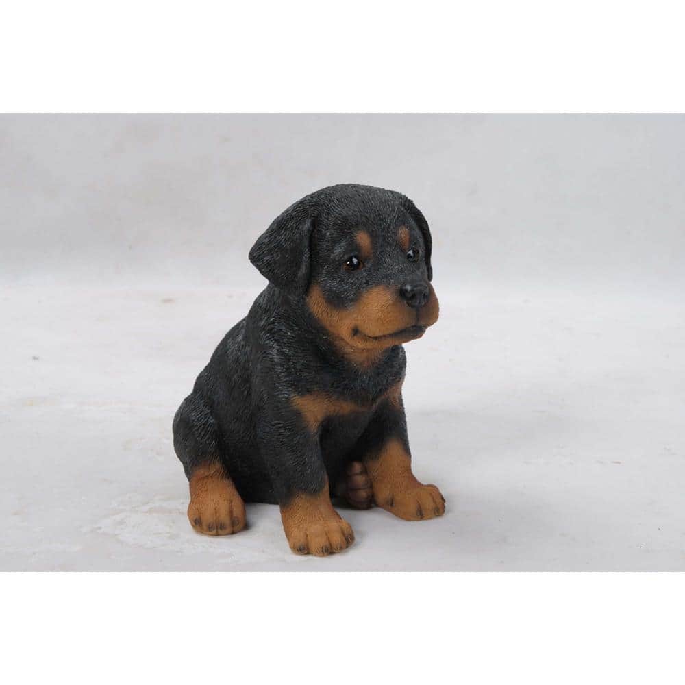 HI-LINE GIFT LTD. Rottweiler Puppy 87771-I - The Home Depot