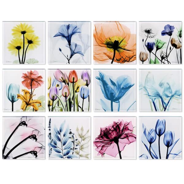 Unbranded 4 in. x 4 in. Each Pretty Bouquet Coasters Super White Glass Coasters with Cork Bottom Set of 12 Florals