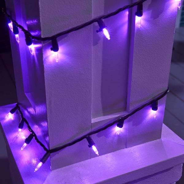 300 Purple Mini LED Lights