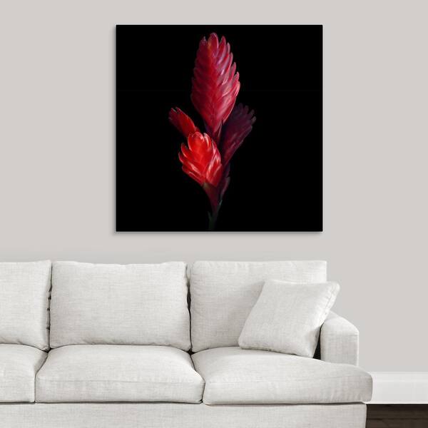 GreatBigCanvas "Bromeliad" by Magda Indigo Canvas Wall Art