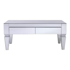 Hannity 41 in. Metallic Silver Large Rectangle Glass Coffee Table with Drawers