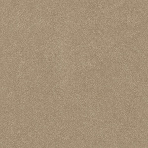 Blakely II - Rattan-Brown 12 ft. 52 oz. High Performance Polyester Texture Installed Carpet