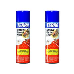 19 oz. Wasp and Hornet Killer Foaming Spray (2-Pack)