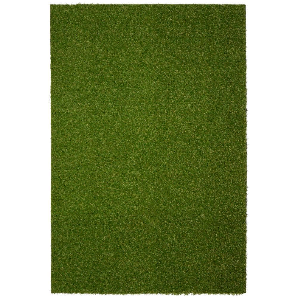 Pet Pal 1.25-in x 16-in Reusable Plastic Artificial Grass Mat in