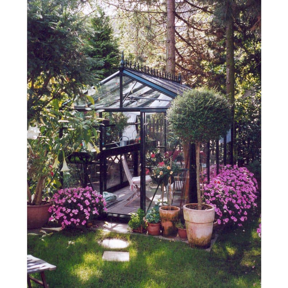 Royal Victorian 8x10 Black Aluminum and Glass Greenhouse
