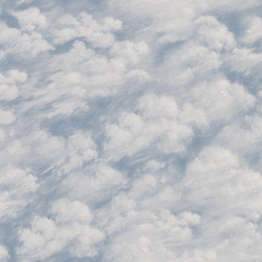 Clouds Sky Blue Peel and Stick Wallpaper Sample price history on PriceWatchPro