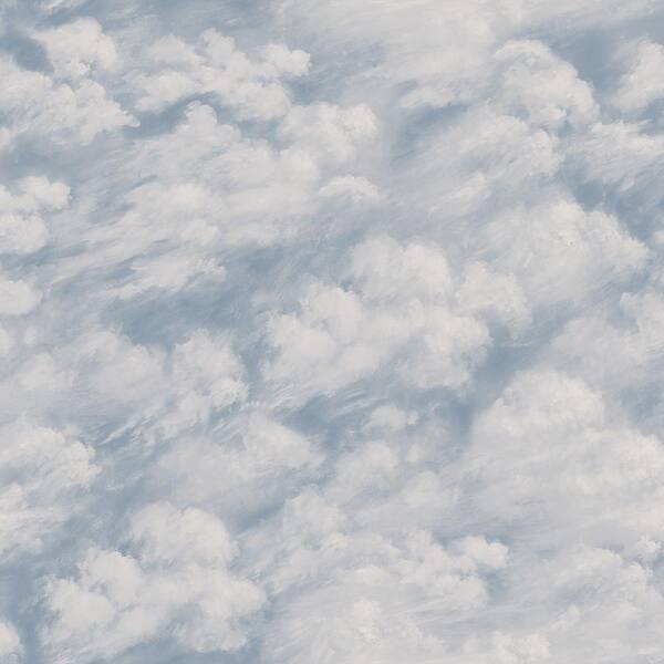 Tempaper Clouds Sky Blue Peel and Stick Wallpaper Sample
