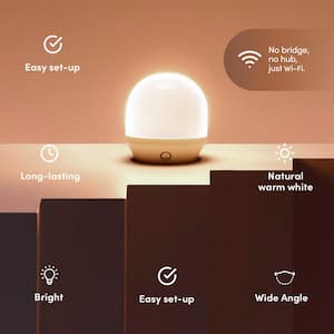50-Watt Equivalent A19 Smart Wi-Fi LED Light Bulb, Works with Alexa/Hey Google/HomeKit/Siri, Soft White 2700K (12-Pack)