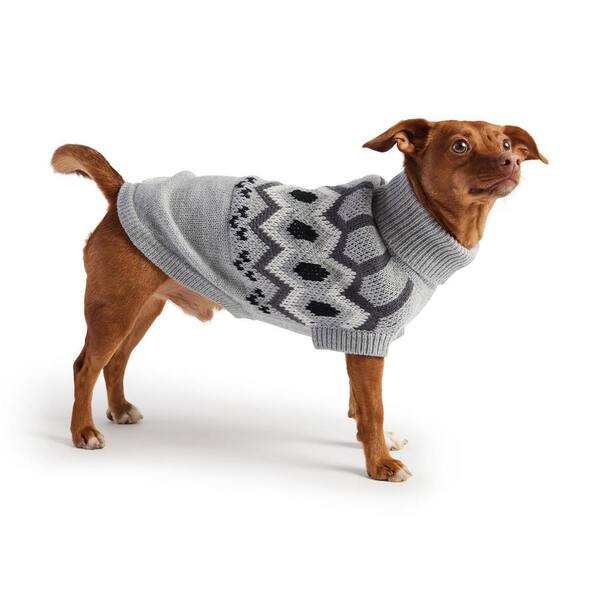  Dogs: Pet Supplies: Apparel & Accessories, Collars