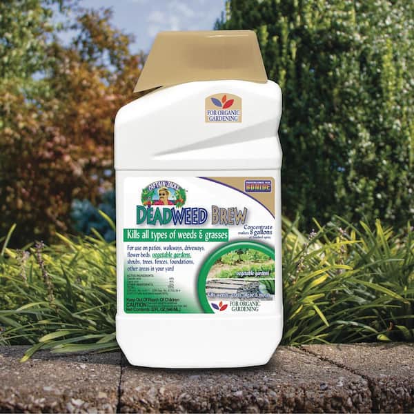 Panacea Silk Plant Cleaner Pump Spray, 32 oz.