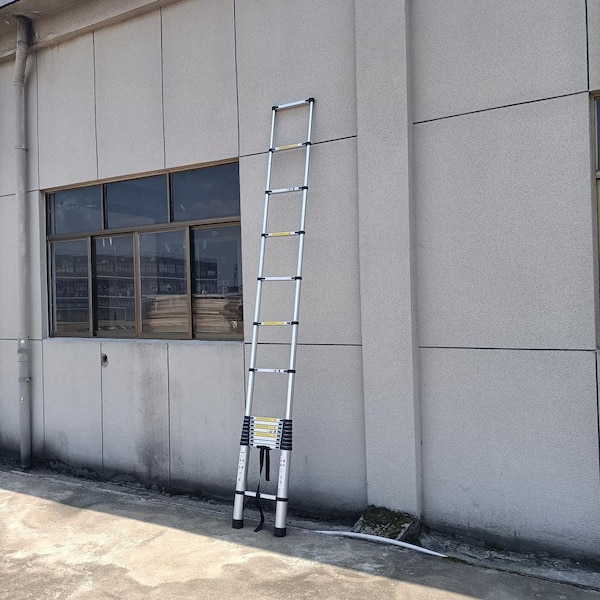 20.3 ft. Aluminum Lightweight Extension Ladder with Non-Marring Feet, 330 lbs. Load Capacity Type IA Duty Rating