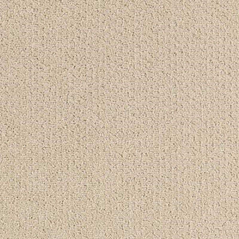 8 in. x 8 in. Pattern Carpet Sample - Katama II -Color Seashore price history on PriceWatchPro